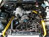 Post pics of your engine bay-dsc01494.jpg