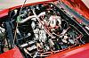 two tone paint jobs in engine bay.. any pics?-red_rx-7_blackenginebay-2-.jpg