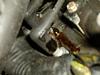 Update: Pulled the plugs and pinpointed one leak-pb230075.jpg