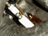 Update: Pulled the plugs and pinpointed one leak-pb230076.jpg